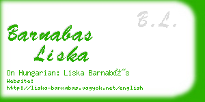 barnabas liska business card